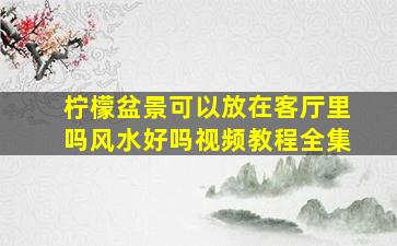 柠檬盆景可以放在客厅里吗风水好吗视频教程全集