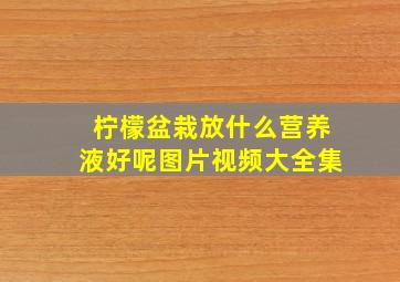 柠檬盆栽放什么营养液好呢图片视频大全集