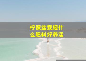 柠檬盆栽施什么肥料好养活