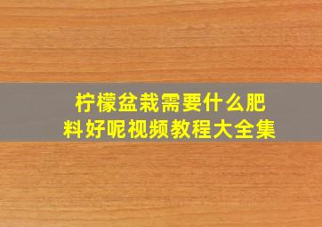 柠檬盆栽需要什么肥料好呢视频教程大全集