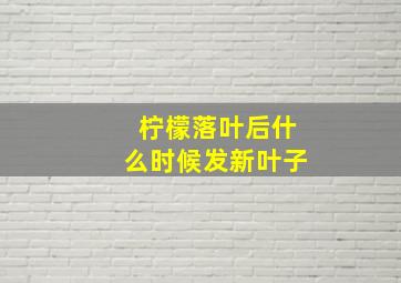 柠檬落叶后什么时候发新叶子