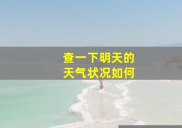 查一下明天的天气状况如何