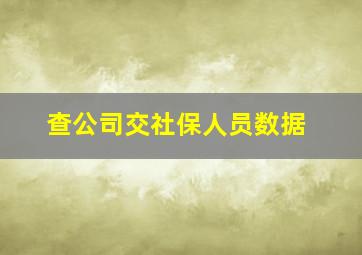 查公司交社保人员数据