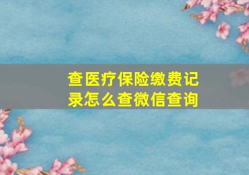 查医疗保险缴费记录怎么查微信查询