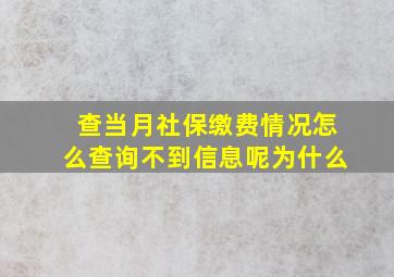 查当月社保缴费情况怎么查询不到信息呢为什么