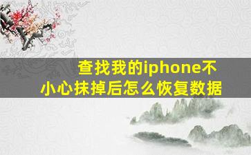 查找我的iphone不小心抹掉后怎么恢复数据