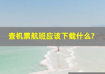 查机票航班应该下载什么?