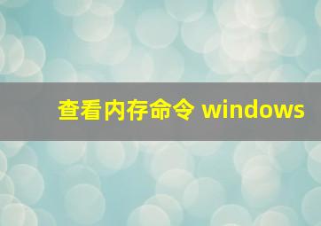 查看内存命令 windows