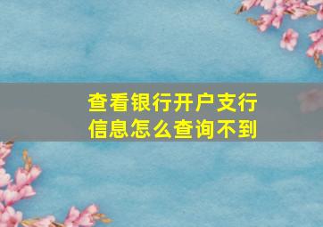 查看银行开户支行信息怎么查询不到