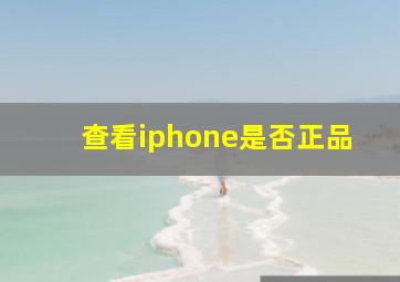 查看iphone是否正品