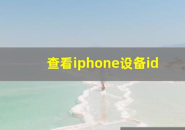 查看iphone设备id