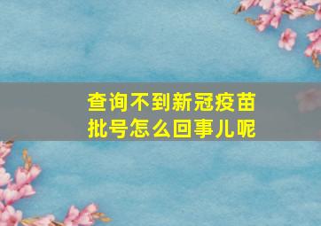 查询不到新冠疫苗批号怎么回事儿呢