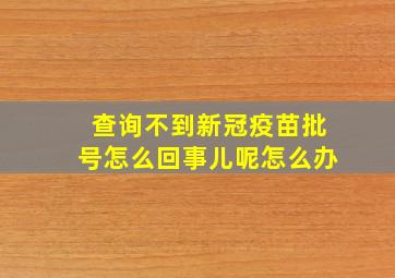 查询不到新冠疫苗批号怎么回事儿呢怎么办