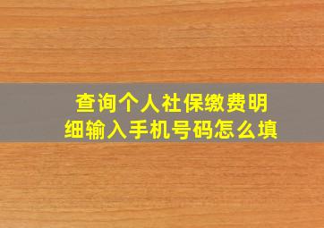 查询个人社保缴费明细输入手机号码怎么填