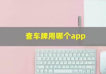 查车牌用哪个app