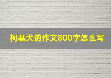 柯基犬的作文800字怎么写