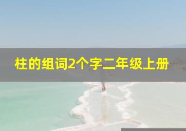 柱的组词2个字二年级上册