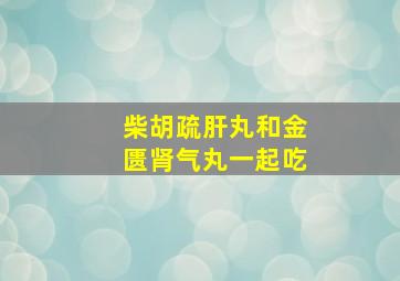 柴胡疏肝丸和金匮肾气丸一起吃