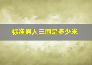 标准男人三围是多少米