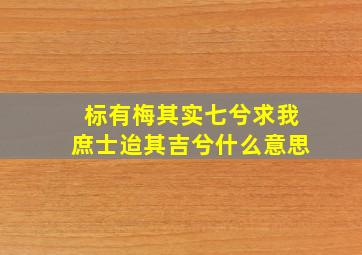 标有梅其实七兮求我庶士迨其吉兮什么意思