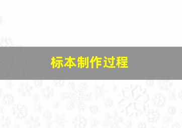 标本制作过程