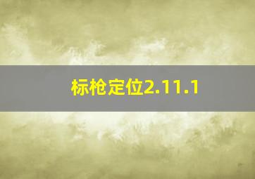 标枪定位2.11.1