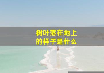 树叶落在地上的样子是什么