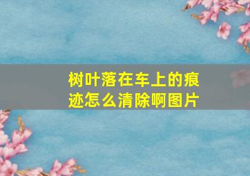 树叶落在车上的痕迹怎么清除啊图片