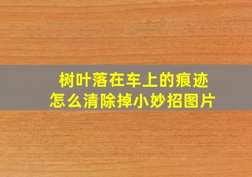 树叶落在车上的痕迹怎么清除掉小妙招图片