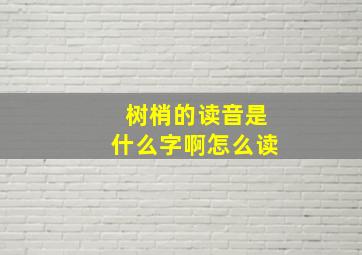 树梢的读音是什么字啊怎么读