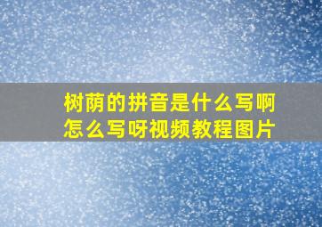 树荫的拼音是什么写啊怎么写呀视频教程图片