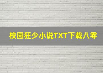 校园狂少小说TXT下载八零