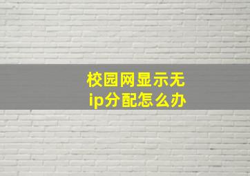 校园网显示无ip分配怎么办