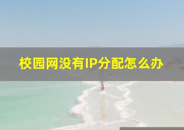 校园网没有IP分配怎么办