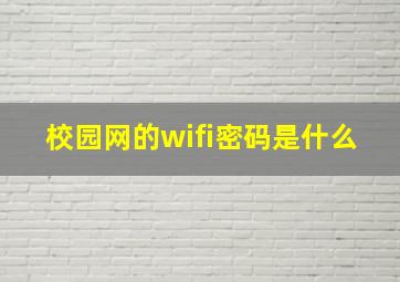 校园网的wifi密码是什么