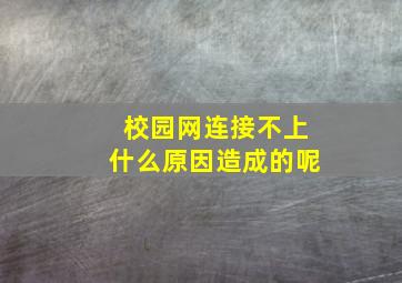 校园网连接不上什么原因造成的呢