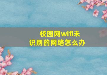 校园网wifi未识别的网络怎么办