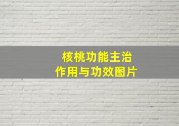 核桃功能主治作用与功效图片