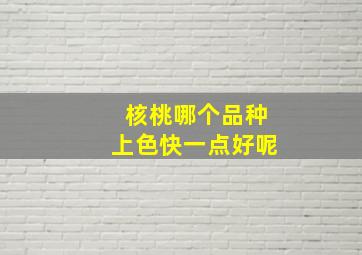 核桃哪个品种上色快一点好呢