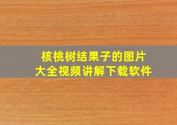 核桃树结果子的图片大全视频讲解下载软件