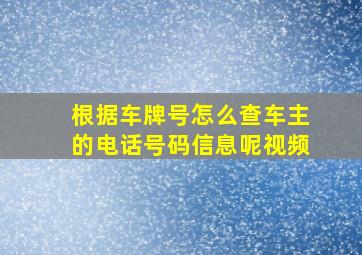 根据车牌号怎么查车主的电话号码信息呢视频