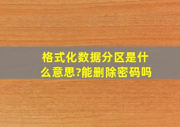 格式化数据分区是什么意思?能删除密码吗