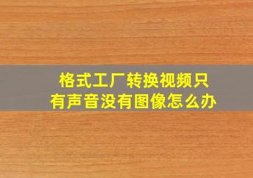 格式工厂转换视频只有声音没有图像怎么办