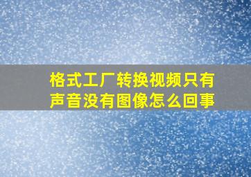 格式工厂转换视频只有声音没有图像怎么回事