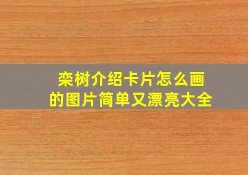 栾树介绍卡片怎么画的图片简单又漂亮大全