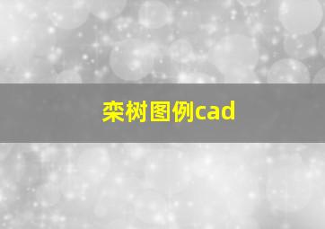 栾树图例cad