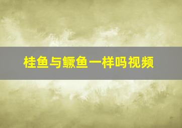 桂鱼与鳜鱼一样吗视频