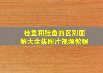 桂鱼和鲑鱼的区别图解大全集图片视频教程