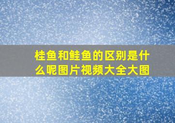 桂鱼和鲑鱼的区别是什么呢图片视频大全大图