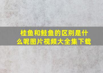 桂鱼和鲑鱼的区别是什么呢图片视频大全集下载